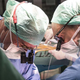 Imagen para el artículo titulado Por primera vez, los cirujanos trasplantan hígado humano conservado fuera del cuerpo durante 3 días